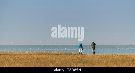 France, Somme, Bay of Somme, Natural Reserve of the Bay of Somme, Le Crotoy, Beaches of Maye, Strollers coming to observe the birds in the Bay of Somme in the nature reserve at high tide Stock Photo