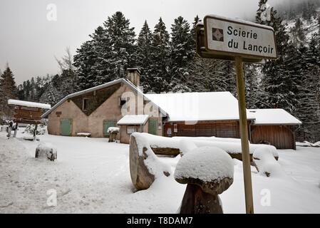 France, Vosges, Ban sur Meurthe Clefcy, Defile de Straiture, the sawmill of Lancoir Stock Photo