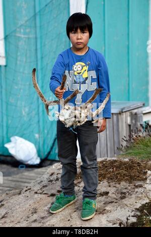 Greenland, west coast, Baffin Bay, Upernavik, young Inuit man showing a reindeer head hunted by his father Stock Photo
