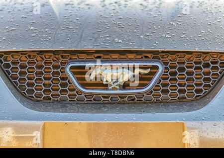 Rain water dripping off a Ford Mustang after a summer storm. The photograph also shows the Mustang radiator grille pony emblem. Stock Photo