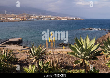 View from the coast on the Atlantic ocean waves. Wind electricity power stations, city and a mountain in the background.Punta de Abona, Tenerife Stock Photo