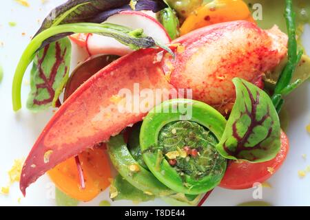 Canada, New Brunswick, Acadie, Moncton, chef Pierre A. Richard's Little Louis restaurant, poached lobster and fiddlehead salad with avocado and beetroot Stock Photo
