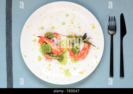Canada, New Brunswick, Acadie, Moncton, chef Pierre A. Richard's Little Louis restaurant, poached lobster and fiddlehead salad with avocado and beetroot Stock Photo