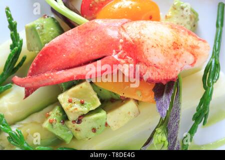 Canada, New Brunswick, Acadie, Moncton, Chef Pierre A. Richard's Little Louis Restaurant, Lobster Salad with Avocado, Salicorne and Tomatoes Stock Photo
