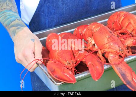 Canada, New Brunswick, Acadie, Moncton, Little Louis restaurant, lobster Stock Photo