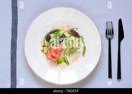 Canada, New Brunswick, Acadie, Moncton, chef Pierre A. Richard's Little Louis restaurant, poached lobster with wild asparagus, morels and pasta pappardelle Stock Photo