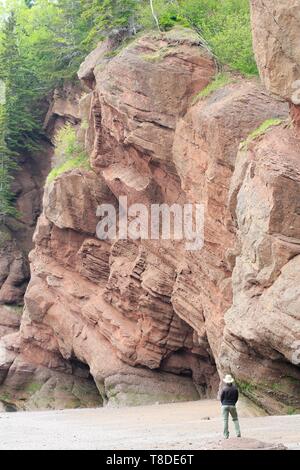 Canada, New Brunswick, Acadie, Albert County, Hopewell Cape, Fundy Biosphere Reserve, Hopewell Rocks Provincial Park, Rock Stacks on the Beach Stock Photo