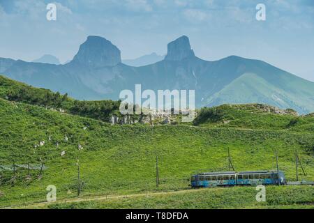 Switzerland, Canton of Vaud, Montreux, the cogwheel train to the rock of Naye in the pastures under the arrival station and the points of Tour de Mayen and Tour d'A´ Stock Photo