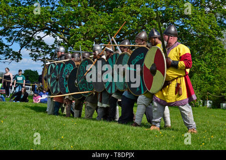 Viking Battle Reenactment at Milton Keynes Museum History Festival 2019. Wolverton, Buckinghamshire, England, UK Stock Photo