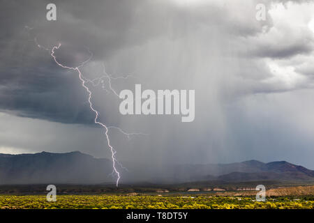 Bright lightning bolt strike with dark clouds and heavy rain from an approaching thunderstorm near Roosevelt Lake, Arizona Stock Photo