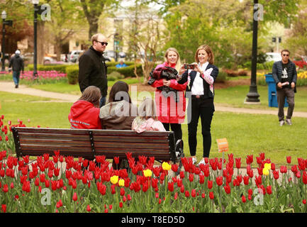 Holland, USA. 12th May, 2019. People visit the annual Tulip Time Festival in the city of Holland, Michigan state, the United States, on May 12, 2019. The festival was held from May 4 to May 12. Credit: Wang Ping/Xinhua/Alamy Live News Stock Photo