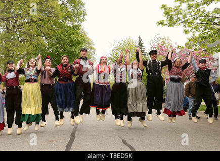 Holland, USA. 12th May, 2019. People cheer during the annual Tulip Time Festival in the city of Holland, Michigan state, the United States, on May 12, 2019. The festival was held from May 4 to May 12. Credit: Wang Ping/Xinhua/Alamy Live News Stock Photo