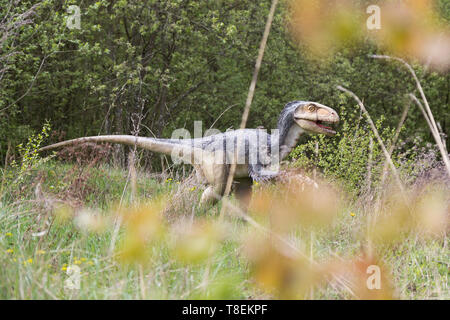 Dinosaur park, adventure, Educational Outings Stock Photo