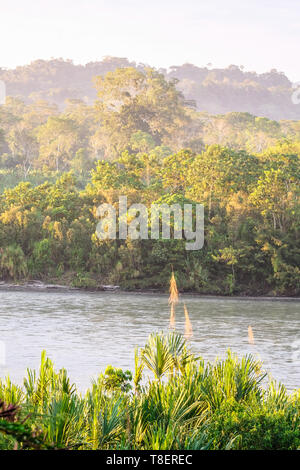 On the Rio Napo (tributary of the Amazon), Amazon basin, Oriente ...