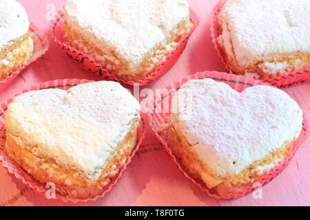 France Saone Et Loire Macon La Barre Pastry Confectioner Joel Noyerie Mof And Its Ideal Maconnais Cake Stock Photo Alamy