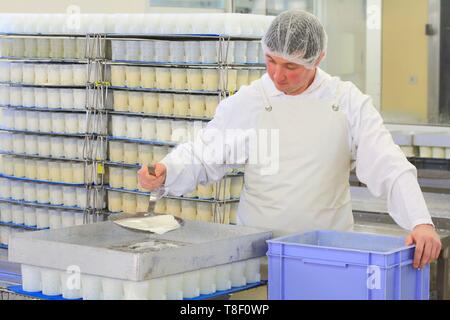 France, Saone et Loire, Hurigny, Chevenet cheese dairy, Maconnais cheese (AOP cheese with raw goat milk) Stock Photo