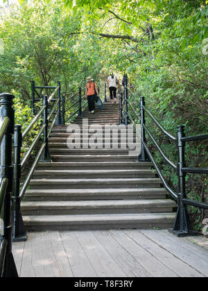 Head up the gentle slope of Mount Royal to see views of Montréal from the mountain's lookouts. Right in the middle of town, the park is a year-round h Stock Photo