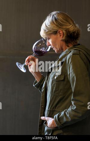 France, Vaucluse, Chateauneuf du Pape, Mayard vineyards, AOC Chateauneuf du Pape, Franþoise Roumieux Stock Photo