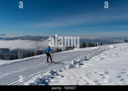 France, Haute Savoie, massive Bauges, above Annecy in border with the Savoie, the Semnoz plateau exceptional belvedere on the Northern Alps, cross country ski trails south of the plateau and sea of clouds Stock Photo