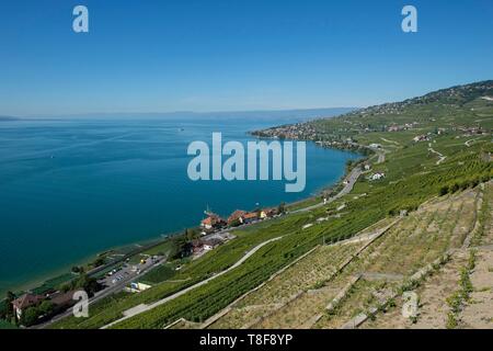 Switzerland, Canton of Vaud, the vineyards of Lavaux, listed as World Heritage by UNESCO, walk in the vineyards of Epesses and LÚman lake Stock Photo