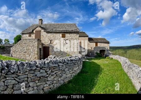 France, Lozere, Causse Mejean, Hures la Parade, Herans, stone houses, traditional buildings, wall... Stock Photo