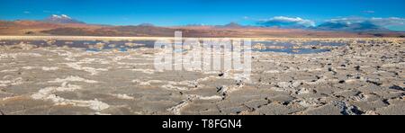 Chile, Antofagasta, view of Atacama Salar Stock Photo