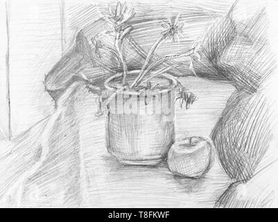still-life with apple and dried flowers in bucket on table hand-drawn by black pencil on white paper Stock Photo