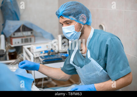 The anesthesiologist introduces the solution and prepares the dog for surgery. A vet anesthesiologist monitors sensors on a monitor. Sterile operating Stock Photo