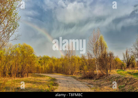 Amazing early spring landscape with rainbow over country road. Bright colorful rainbow on cloudy sky and bright first greenery of trees in forest - pa Stock Photo