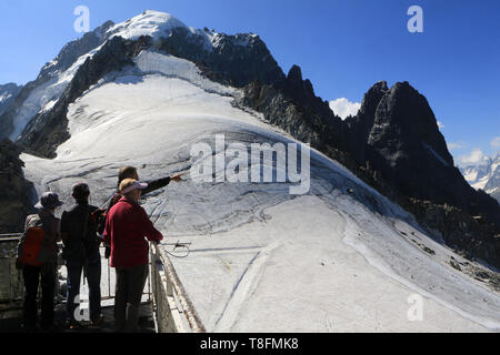 L'Aiguille Verte (4.122 m). Les Drus (3754 m). Le petit Dru (3.730 m) et le grand Dru (3.754 m). Le glacier des Grands Montets. Vue depuis l'Aiguille  Stock Photo