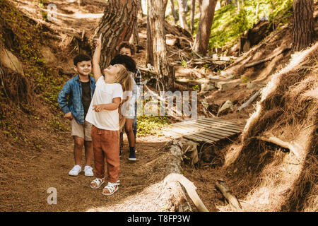 Group of kids standing together in forest and looking up at something interesting. Children playing in woods, with a girl pointing upwards. Stock Photo