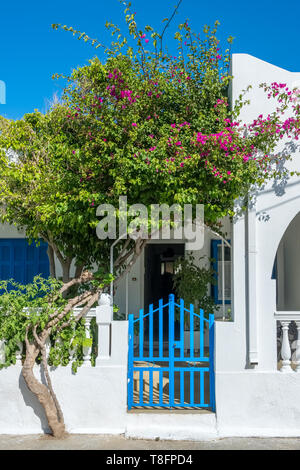 White house facade with traditional blue door and flowers on Andros island, Cyclades Stock Photo