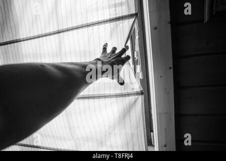 Black and white photo of male hand pulling back a curtain. Personal perspective view. Stock Photo