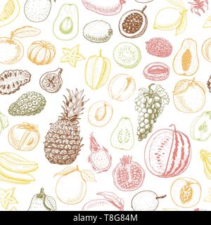 Seamless pattern with colored fruits on white background. Vector  illustration for your design Stock Vector