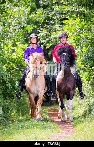 Icelandic Horse.  Two horses ridden by a couple outdoors in summer. Austria Stock Photo