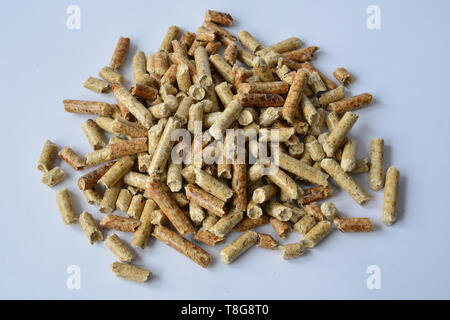 Wood pellets for the house fire. Studio picture against a white background. Germany Stock Photo