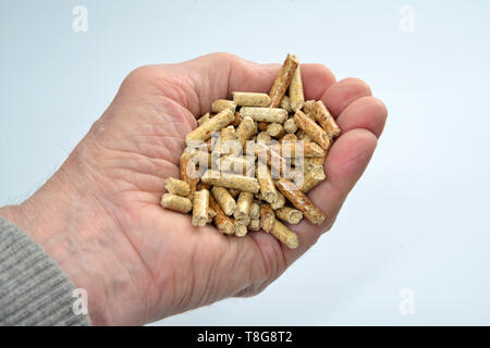 Wood pellets for the house fire in a hand. Germany Stock Photo