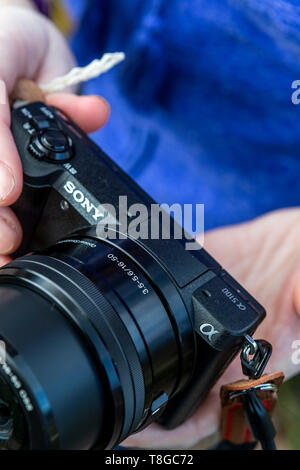 A photographer holds a Sony camera whilst on a photo training course at Humble by Nature, Monmouthshire, Wales. Stock Photo