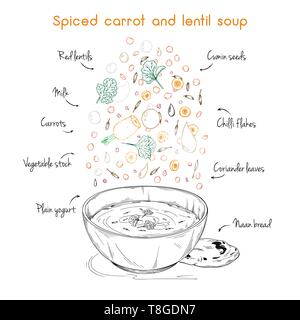 Simple recipe for soup. Spiced carrot and lentil soup. Vector illustration Stock Vector