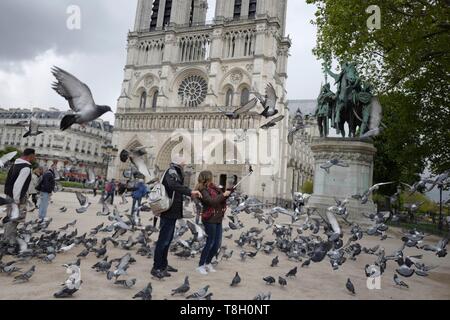 France, Paris, Pigeons flying in front of Notre Dame de Paris Stock Photo