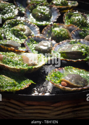 grilled limpets with green mojo, typical avocado in Lanzarote, Canary Island Stock Photo