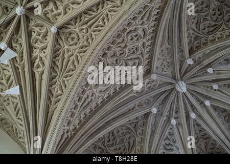 France, Savoie, Chambery, the trompe l'oeil painted ceiling of the Holy Chapel in the castle