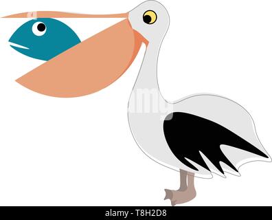 Pelican with fish in the beak, illustration, vector on white background. Stock Vector