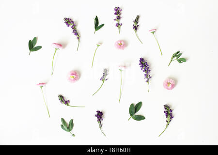 Floral, pattern, botanical composition. Pink daisy and purple alfalfa flowers isolated on white table background. Styled stock photo. Flat lay, top Stock Photo