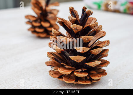 Pine cones on a light background. Open pine cones Stock Photo