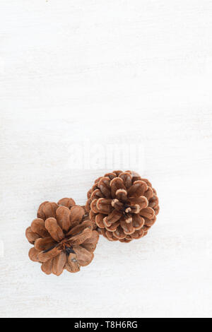 golden pine cones isolated on a white background Stock Photo - Alamy