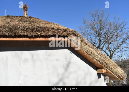 Traditional African thatched roof against a blue sky Stock Photo