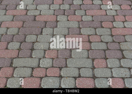 Paving colored concrete tile texture background. Copy space Stock Photo