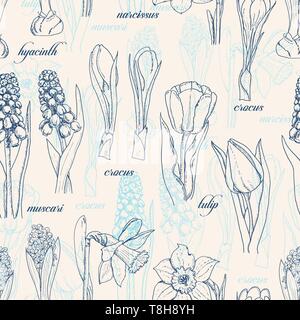 Seamless pattern with spring flowers. Vector  illustration for your design Stock Vector