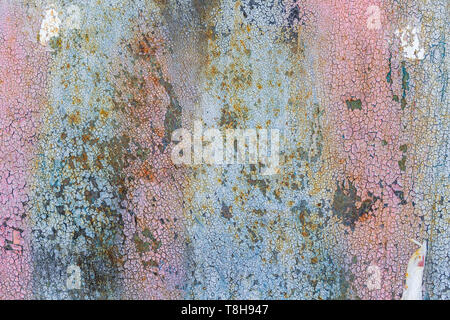 Metal rusty painted cyan and pink grunge texture background. Copy space Stock Photo